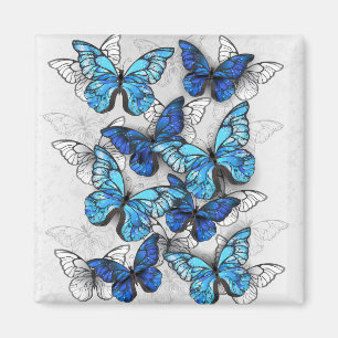 Aimant Composition des White and Blue Butterflies