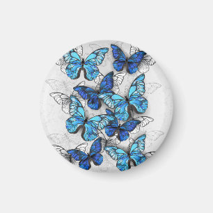 Aimant Composition des White and Blue Butterflies