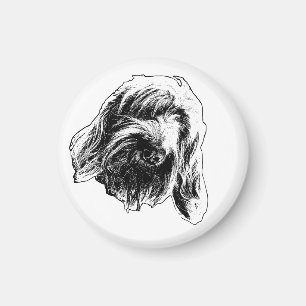 Aimant Compteur chaud Spinone