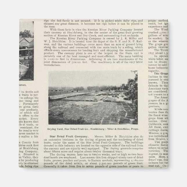 Aimant Comté de Sonoma, Californie (Devant)