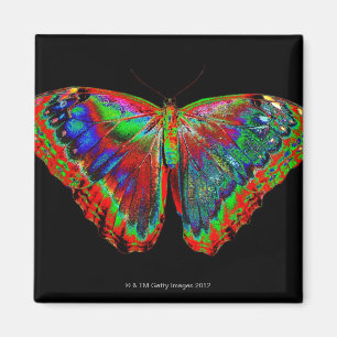 Aimant Conception colorée de papillon contre le contexte