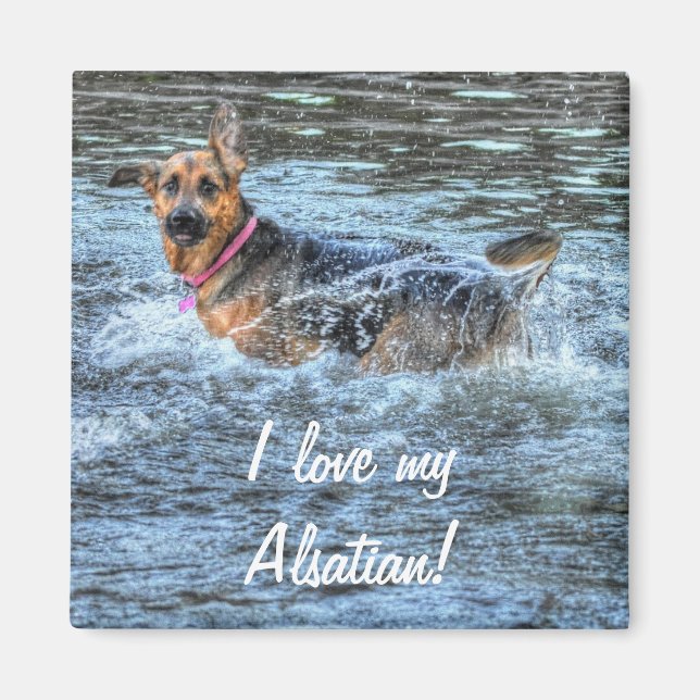 Aimant Conception de chiens pour les amateurs de moules (Devant)