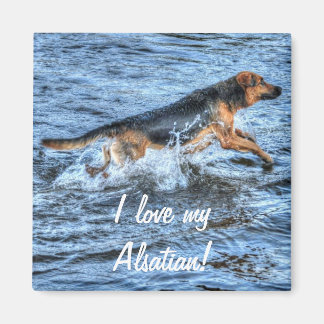 Aimant Conception de chiens pour les amateurs de moules