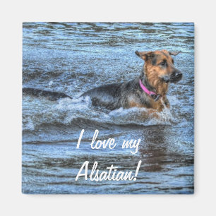 Aimant Conception de chiens pour les amateurs de moules