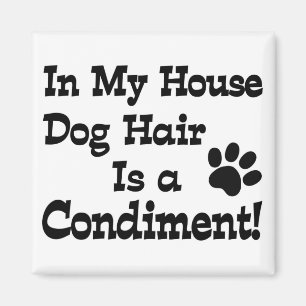 Aimant Condiment de poils de chien