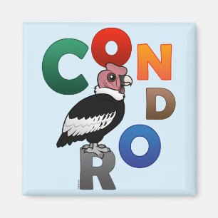 Aimant Condor coloré