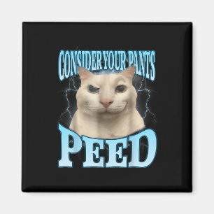 Aimant Considérez Votre Pantalon a Pissé Drôle Freak Cat 