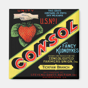 Aimant Consol Fancy Klondykes Fraises
