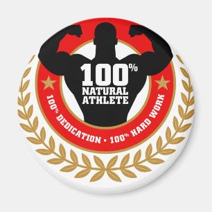 Aimant construction.png