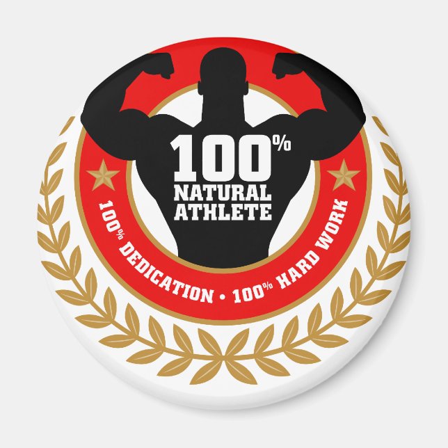 Aimant construction.png (Devant)