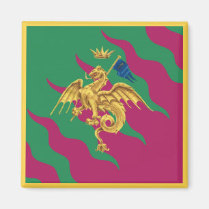 Aimant Contrada del Drago (Dragon) Palio di Siena