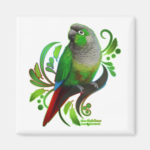 Aimant Conure verte à mâcher