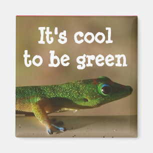 Aimant Cool Green Gecko