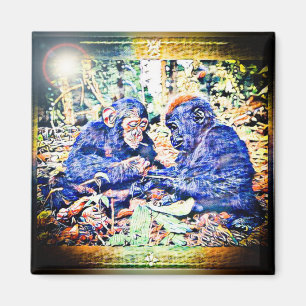 Aimant Coopération Chimp & Gorilla 01
