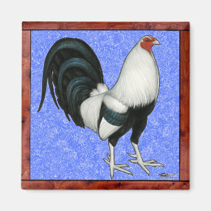 Aimant Coq de combat encadré