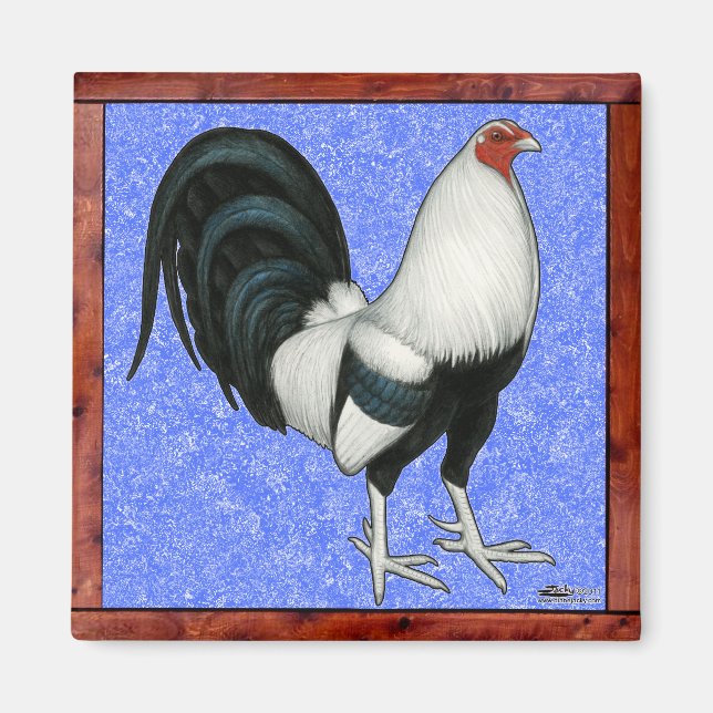 Aimant Coq de combat encadré (Devant)