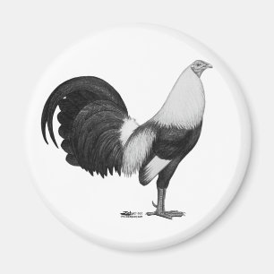 Aimant Coq de combat gris à ailes de canard