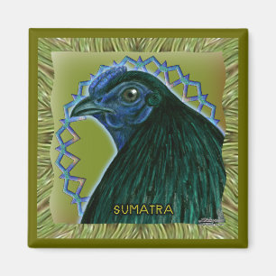 Aimant Coq Sumatra encadré