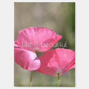 Aimant Coquelicots roses