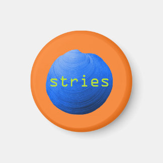 Aimant Coquillage. Stries