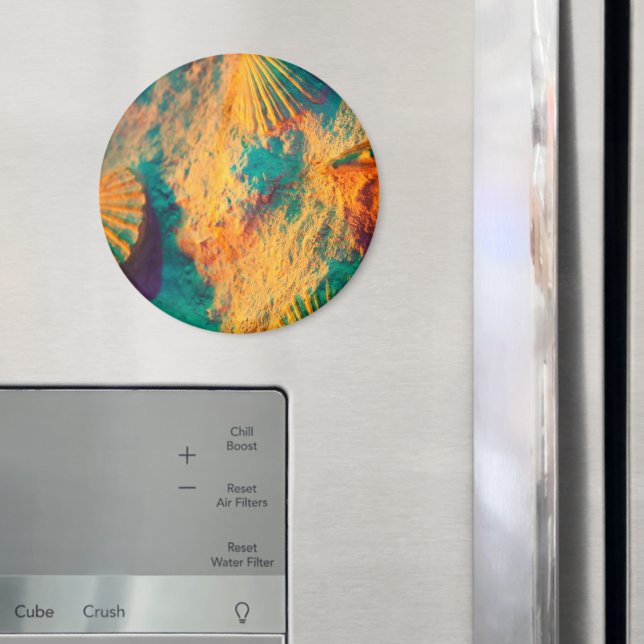 Aimant Coquillages, Coques De Jambes, Coques De Cocktails