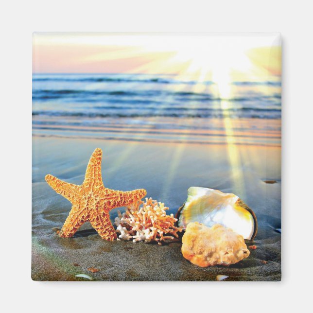 Aimant Coquillages marins et étoiles de mer sur la plage (Devant)