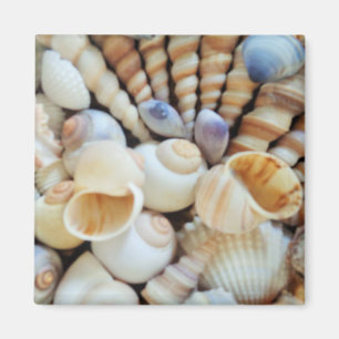 Aimant Coquillages Plage Vacances d'été Réfrigérateur Aim