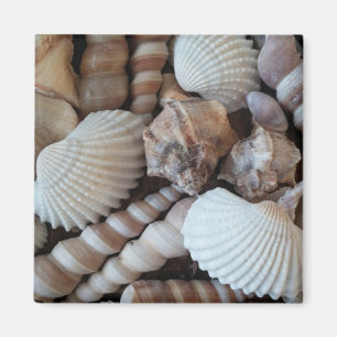 Aimant Coquillages Plage Vacances d'été Réfrigérateur Aim