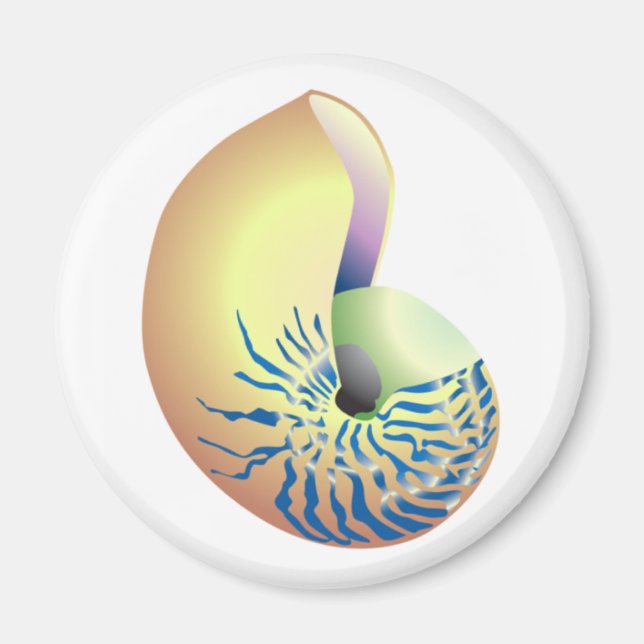 AIMANT COQUILLE (Devant)