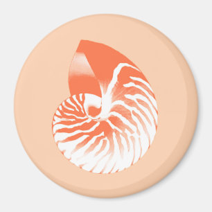 Aimant Coquille de Nautilus - corail orange et blanc