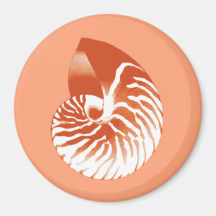 Aimant Coquille de Nautilus - terre cuite et blanc