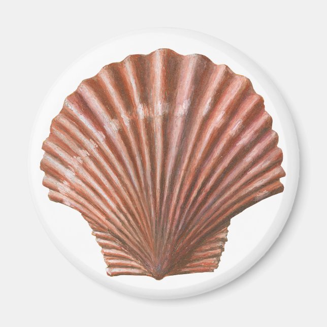 Aimant Coquille de saint Jacques (Devant)