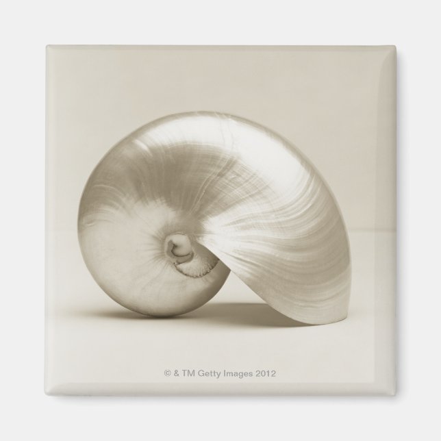 Aimant Coquille marine de nausolée perlée (Devant)