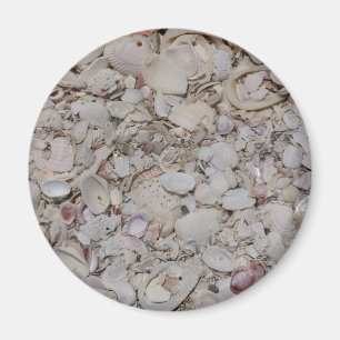 Aimant Coquilles de mer de sanibel