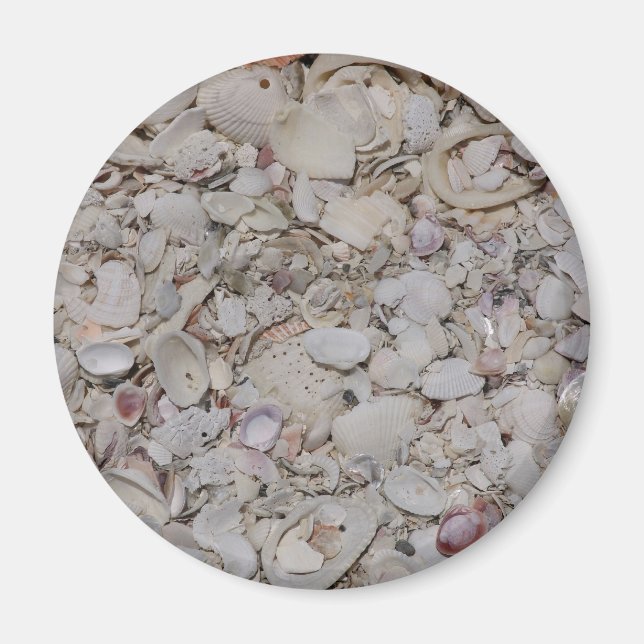 Aimant Coquilles De Mer De Sanibel (Devant)