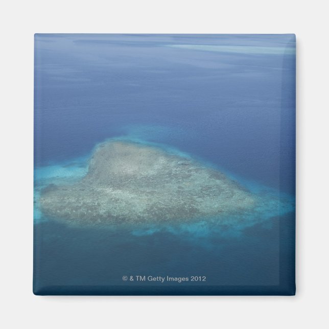 Aimant Corail en forme de coeur (Devant)