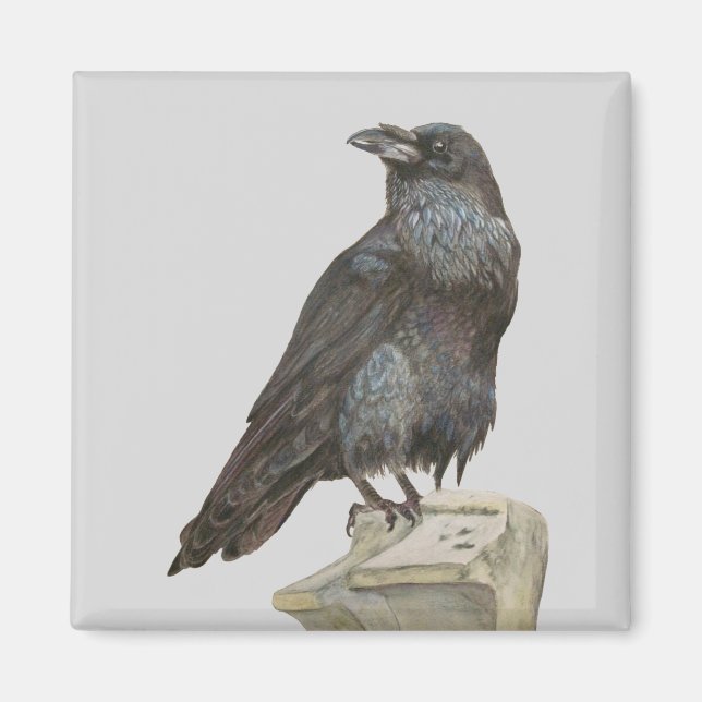 Aimant Corbeau (Devant)