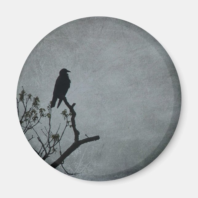 Aimant Corbeau (Devant)