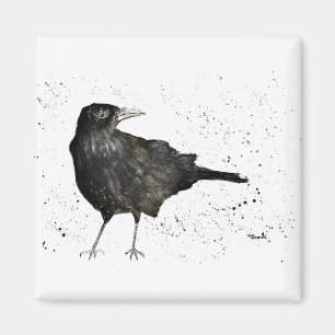 Aimant Corbeau