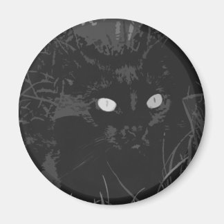 Aimant corbeau