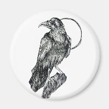 Corbeau Amical