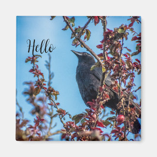 Aimant Corbeau dit bonjour
