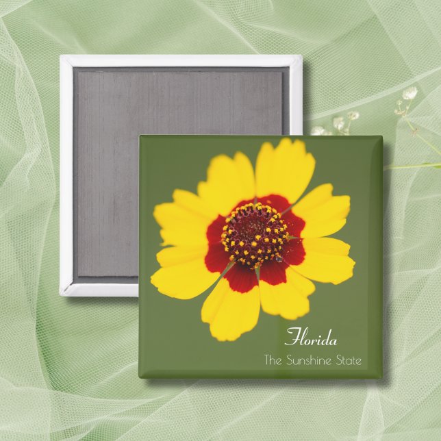 Aimant Coreopsis Tickweed de Floride (Créateur téléchargé)