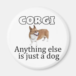 Aimant Corgi