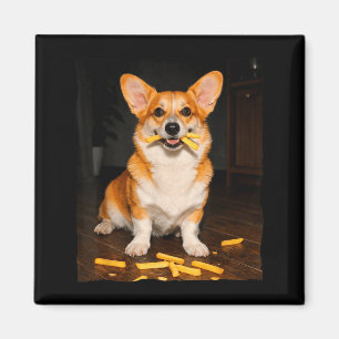 Aimant Corgi mangeant des frites mème de chien amateur de