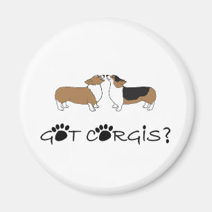 Aimant Corgis obtenus ?