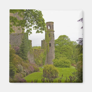 Aimant Cork, Irlande. Le célèbre château de Blarney 2