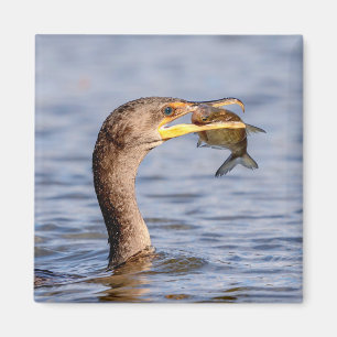 Aimant Cormoran avec un poisson