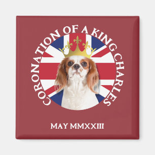 Aimant CORONNEMENT Amusant D'Un Roi Charles Spaniel