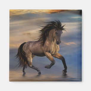 Aimant Cosmique. étalon sauvage